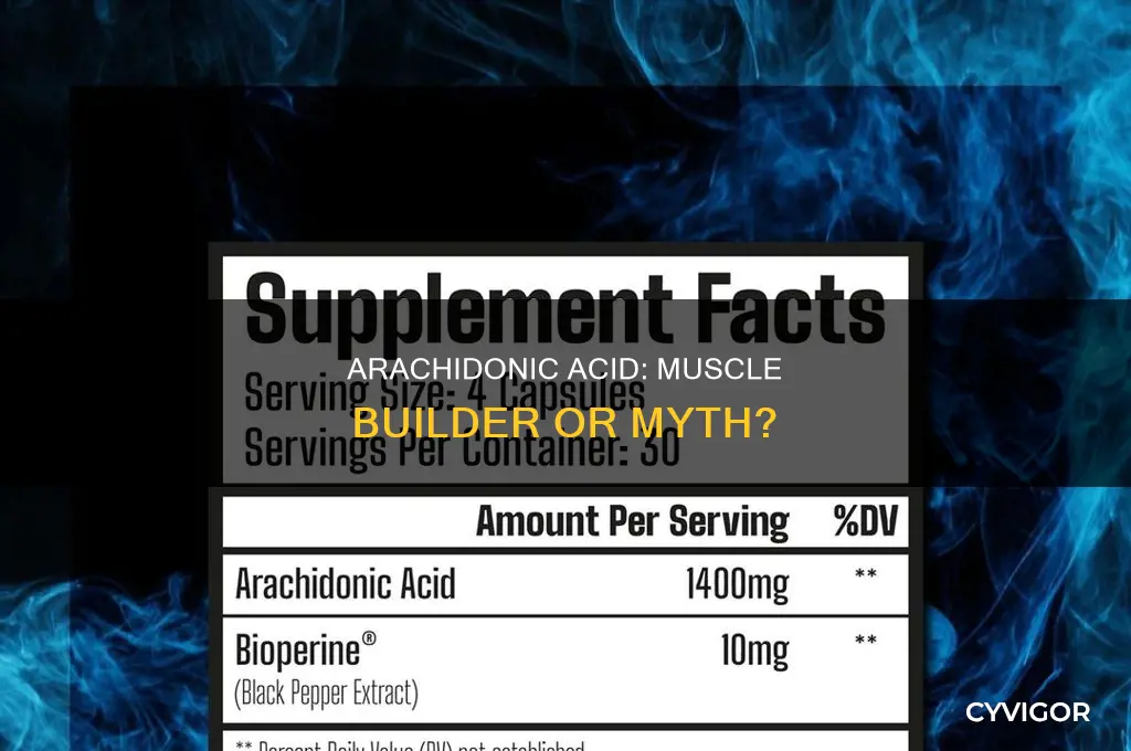 does arachidonic acid cause build muscle