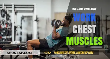 Do Arm Curls Engage Chest Muscles? Uncovering the Truth