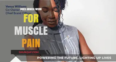 Arnica for Muscle Pain: Effective Relief or Just a Myth?