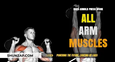 Arnold Press: Effective Full Arm Muscle Workout or Myth?