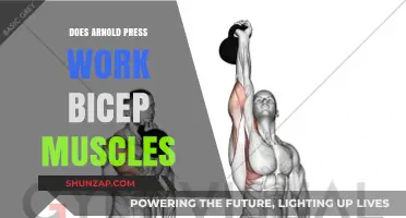 Arnold Press and Biceps: Does It Really Target Arm Muscles?
