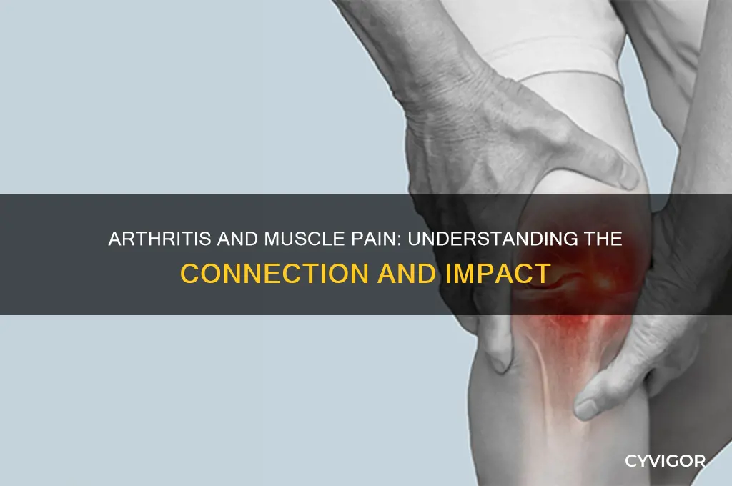 does arthritis affect muscle pain
