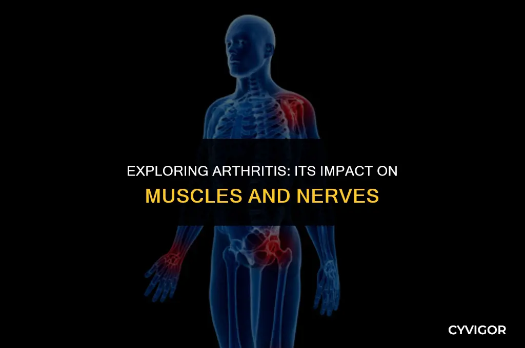 does arthritis affect muscles and nerves