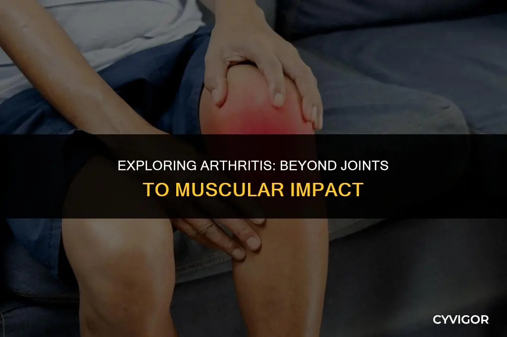 does arthritis affect muscles as well as joints