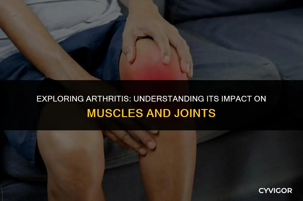 does arthritis affect the muscles