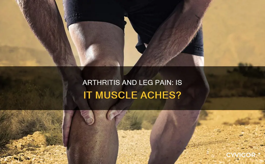 does arthritis cause muscle pain in legs