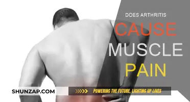 Arthritis and Muscle Pain: What's the Connection?