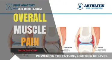 Arthritis and Muscle Pain: What's the Connection?