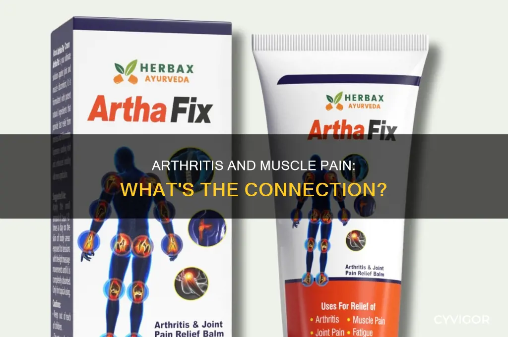 does arthritis cause overall muscle pain