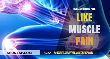 Arthritis vs. Muscle Pain: Understanding the Key Differences and Similarities