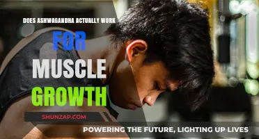 Does Ashwagandha Boost Muscle Growth? Separating Fact from Fiction