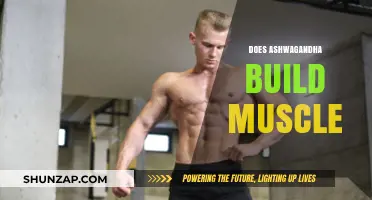 Unlocking Strength: The Truth About Ashwagandha and Muscle Building
