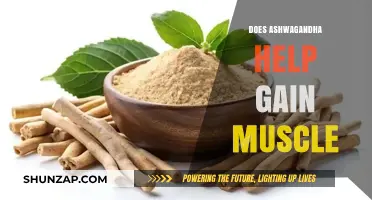 Ashwagandha and Muscle Growth: Can This Herb Boost Your Gains?