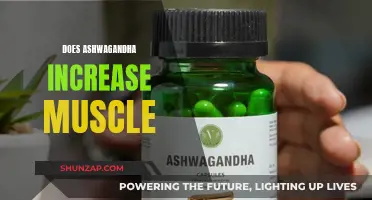 Ashwagandha for Muscle Gain: Does it Work?