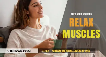 Ashwagandha's Muscle Relaxation Benefits: Fact or Fiction?
