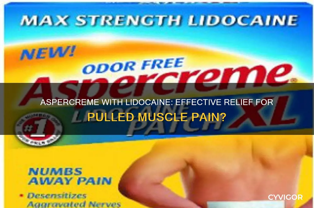 does aspercreme with lidocaine ease pain from pulled muscles