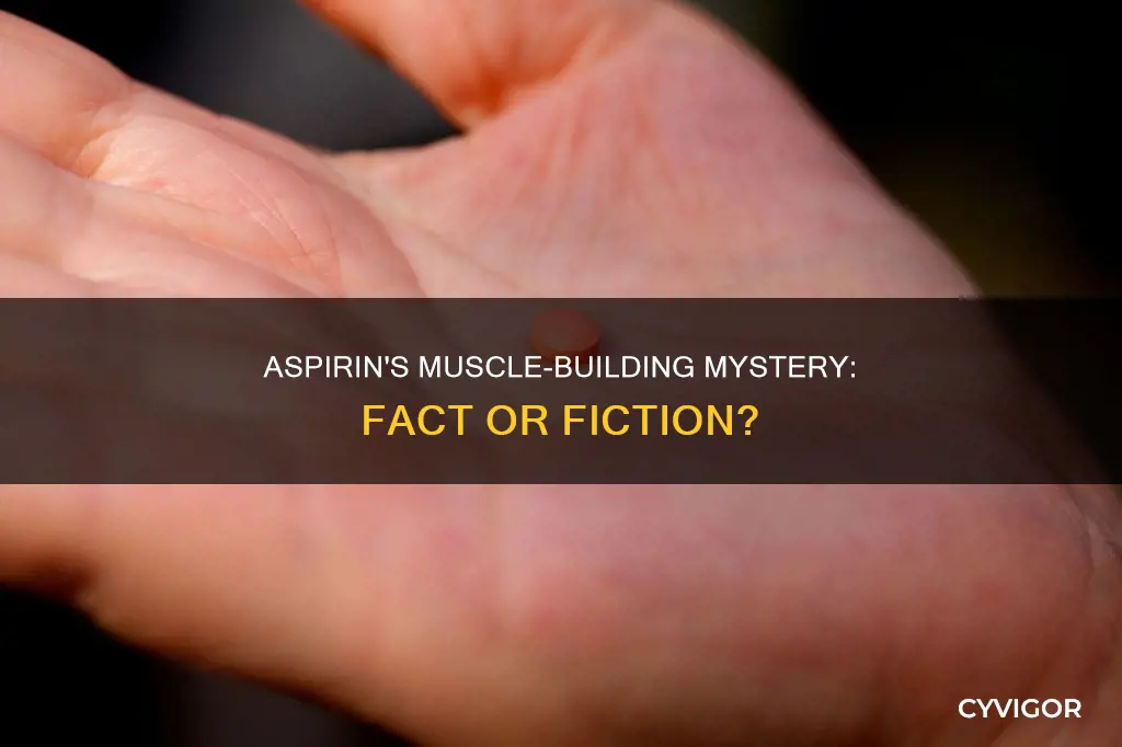 does aspirin increase muscle