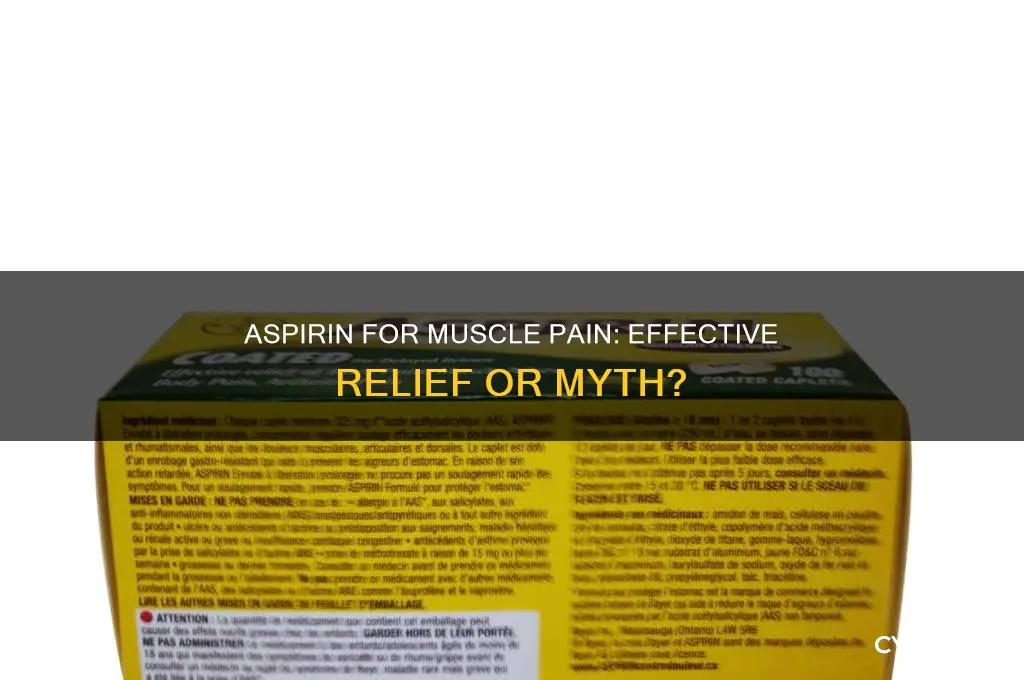 does aspirin work for muscle pain