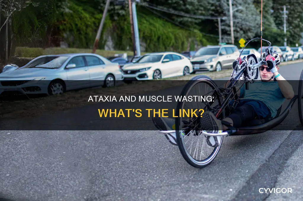 does ataxia cause muscle waste in arms and legs