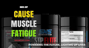 ATP and Muscle Fatigue: What's the Connection?