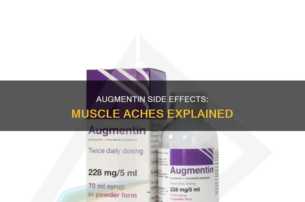 does augmentin cause muscle aches