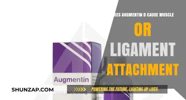 Augmentin D: Muscle and Ligament Risks?