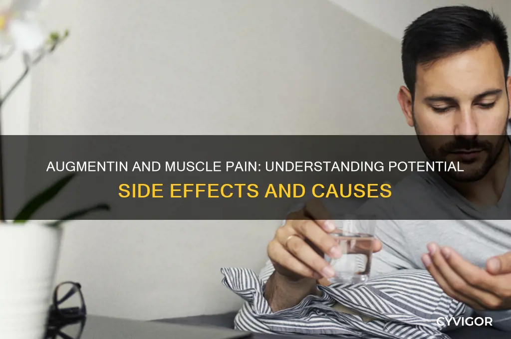 does augmentin make your muscles sore
