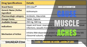 Azithromycin Side Effects: Muscle Aches and Pains Explained