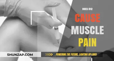 B12 and Muscle Pain: What's the Connection?