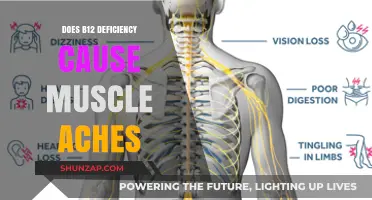 How B12 Deficiency Leads to Muscle Pain and Aches