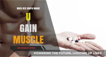 Can B12 Shots Boost Muscle Gain? Facts and Myths Explained