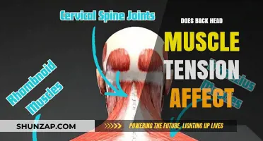 Exploring the Impact of Back Head Muscle Tension on Overall Health
