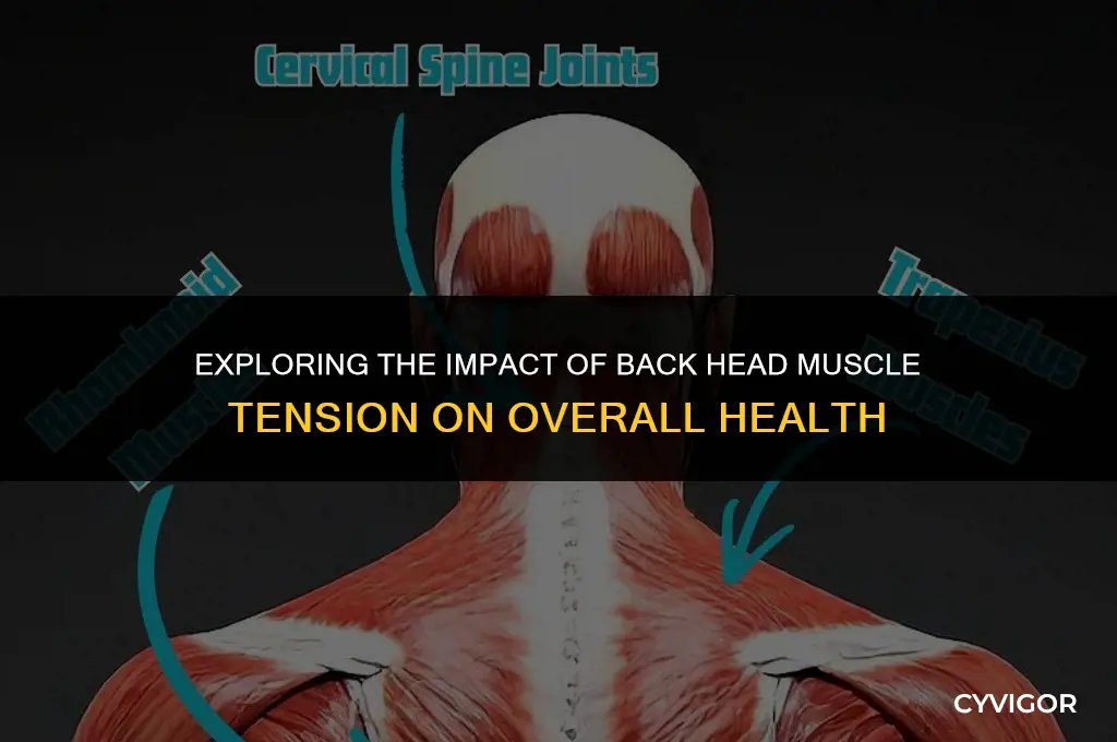 does back head muscle tension affect