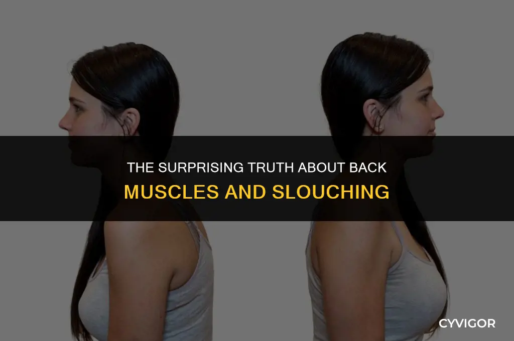 does back muscle make you slouch