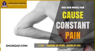 Back Muscle Pain: Constant or Not?