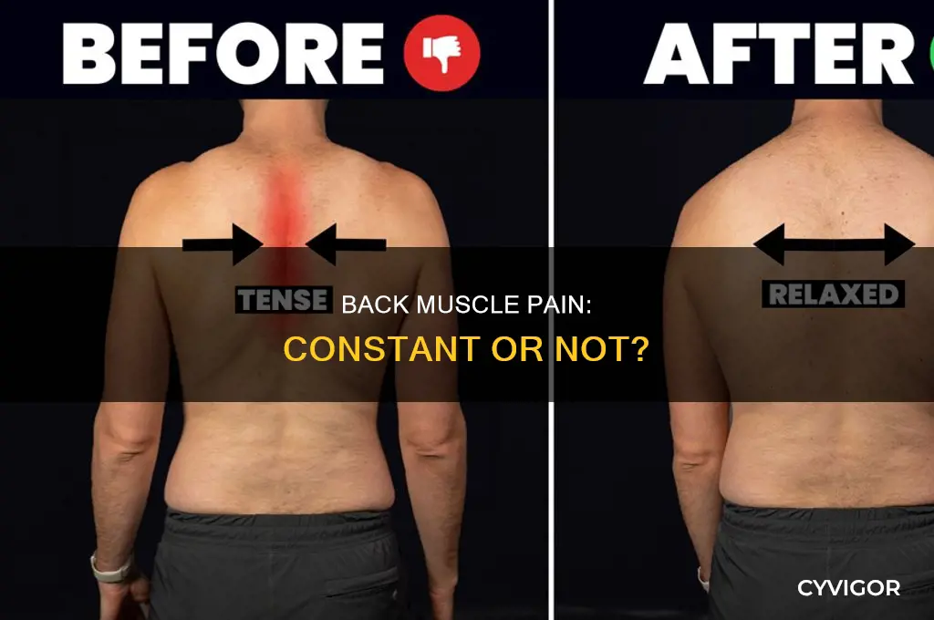 does back muscle pain cause constant pain