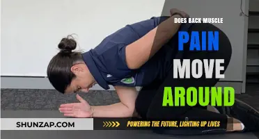 Can Back Muscle Pain Shift Locations? Understanding Its Mobility and Causes