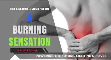 Understanding Back Muscle Strain: The Burning Sensation Explained