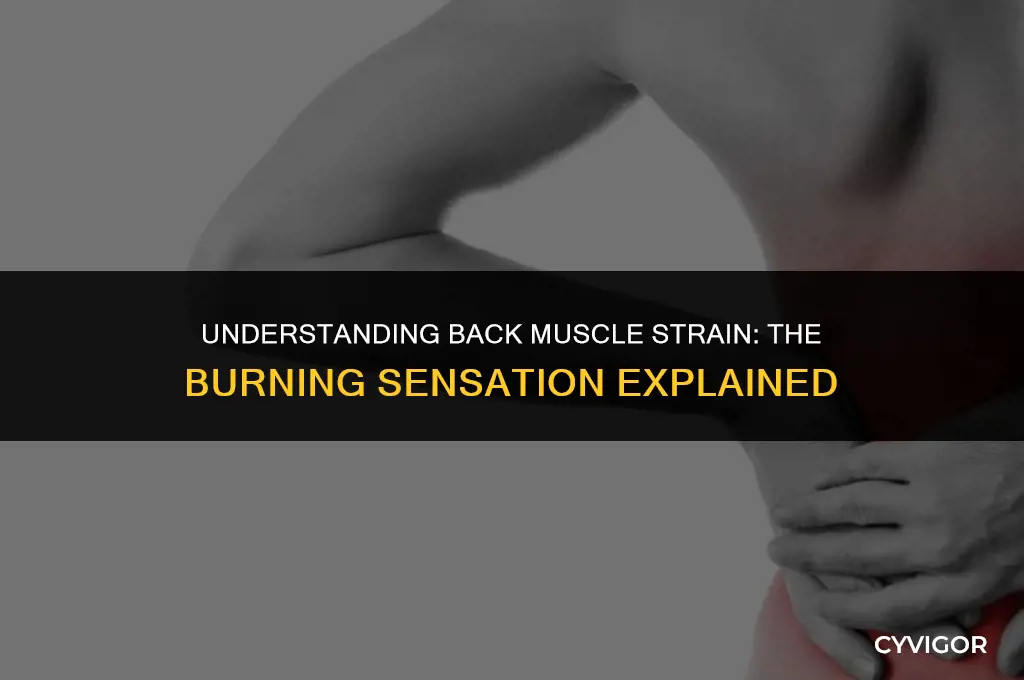 does back muscle strain feel like a burning sensation