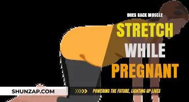 Ease Your Back: Stretching Safely During Pregnancy