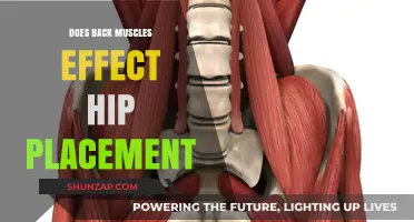 Exploring the Connection: Back Muscles and Hip Placement