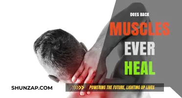 Can Your Back Muscles Fully Recover? A Comprehensive Guide to Healing