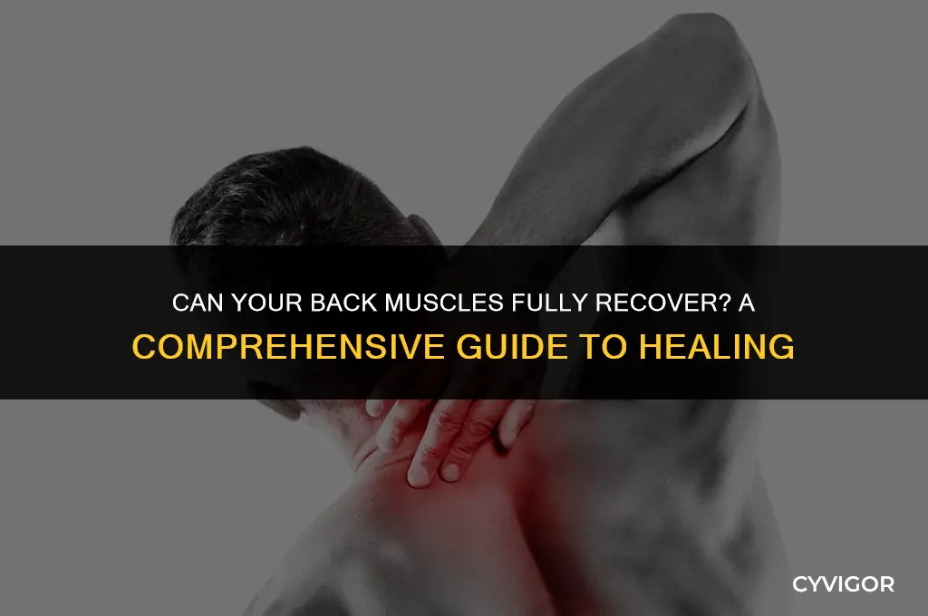 does back muscles ever heal