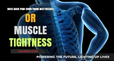 Mattress vs. Muscles: Unraveling the Root Cause of Back Pain