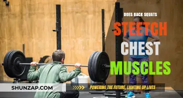 Unraveling the Myth: Do Back Squats Really Stretch Chest Muscles?