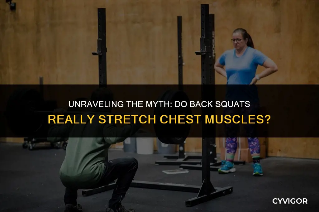 does back squats steetch chest muscles