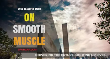 Baclofen's Effectiveness on Smooth Muscle: What Research Reveals