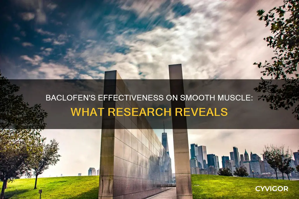 does baclofen work on smooth muscle
