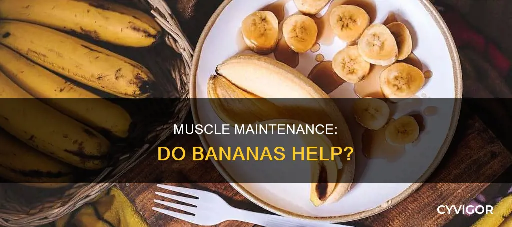 does bananas keep muscle