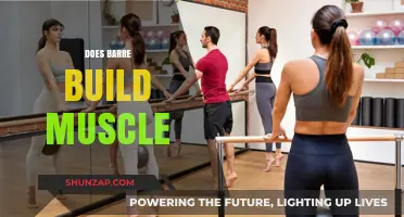 Barre Workouts: Effective Muscle Building or Just Hype?